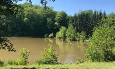 Maison champêtre et ses 2 étangs en Haute-Saône