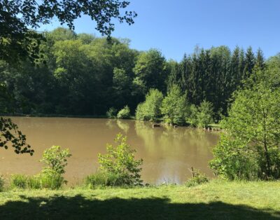 Maison champêtre et ses 2 étangs en Haute-Saône