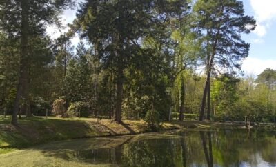 Maison tout confort avec étang privé en lisière de forêt