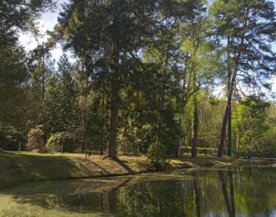 Maison tout confort avec étang privé en lisière de forêt