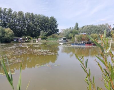 Cube transparent au cœur du sous-bois