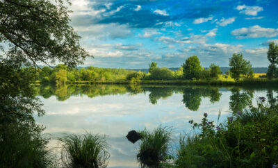 Etang 5ha pour pêcher à côté de Pontarlier