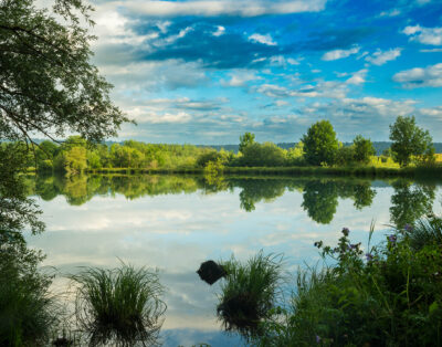 Etang 5ha pour pêcher à côté de Pontarlier