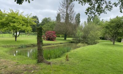 Chalet autonome avec vue sur jardin et étang privé