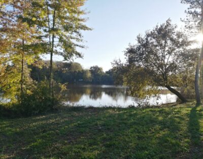 Deux étangs de 3ha à louer dans les Landes