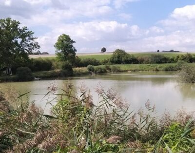 Étang de 1,1 ha au milieu de la nature