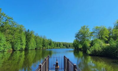 Maison au cœur du Périgord vert avec étang de 3ha