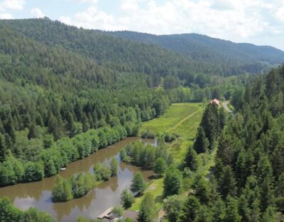 Chalet tout confort avec étang privé d’1ha et son bain Nordique