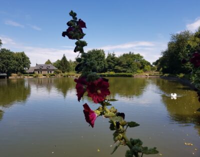 Etang de 1 ha pour camper et pêcher