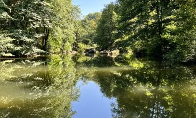 Studio style chalet au Moulin de Record pour 2 personnes en bordure de rivière l’Agout