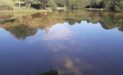 Roulotte familiale au bord d’un étang