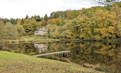 STUDIO 2 chambres avec un étang et une forêt privée