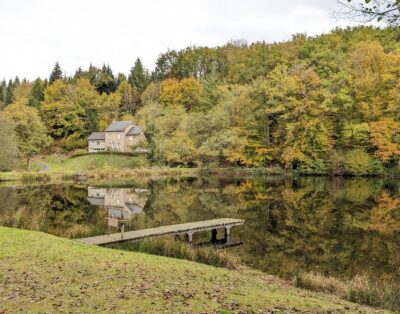 STUDIO 2 chambres avec un étang et une forêt privée