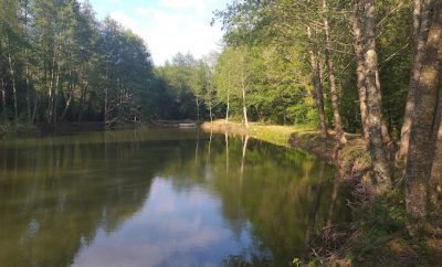 Hébergement avec piscine et son étang privé