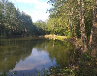 Hébergement avec piscine et son étang privé