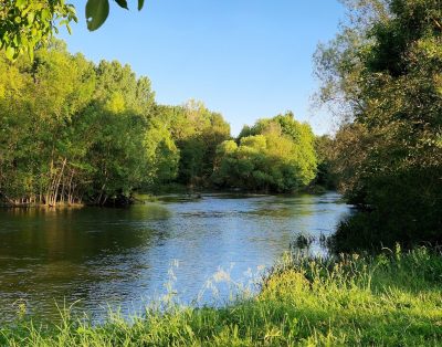 Location étang pour pêcher et garer son camping car