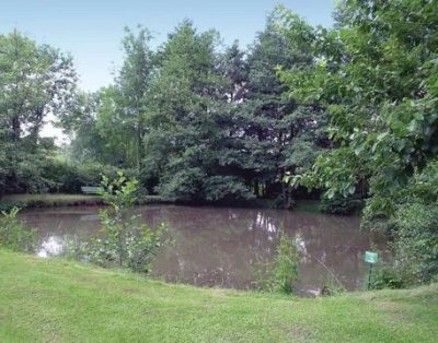 Maison cosy avec étang privé dans le parc naturel de l’Avesnois