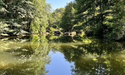 Gite Moulin de Record 5 personnes au bord de la rivière