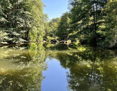 Gite Moulin de Record 5 personnes au bord de la rivière