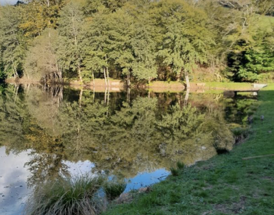 Initiation pêche au bord d’un étang privé