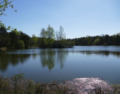 Roulotte niché au bord d’un étang de 3ha