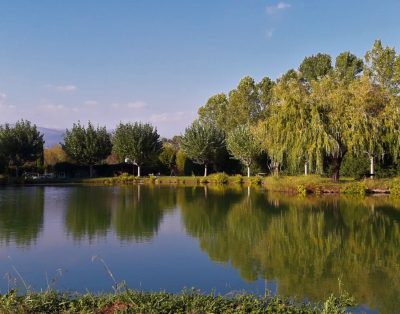 Charmant chalet en bois pour deux au cœur du Sud