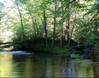 Cabane tente au cœur de la nature avec un accès privatisé à la rivière