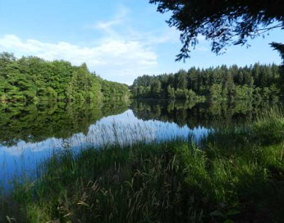 Chalet avec accès à un étang privé de 10ha