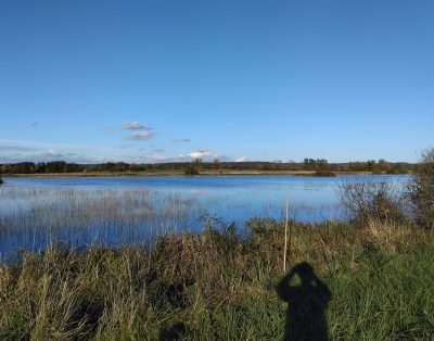 Deux étang de 5ha et 1ha à louer pour pêcher