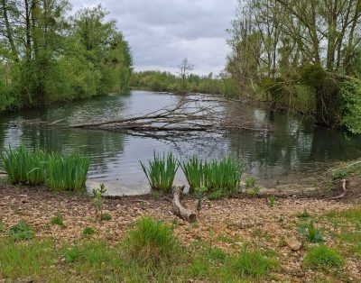 Location étang privé avec accès à une bordure de rivière à 10 min de Poitiers