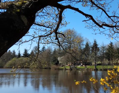 Étang de pêche et de loisirs avec gîte tout confort