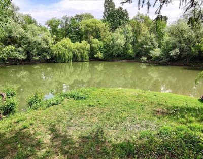 Location d’un chalet avec un étang de 1.2ha à côté de Troyes