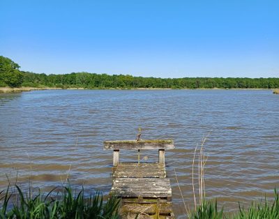 Location étang de 12ha + un étang de 5ha pour la pêche
