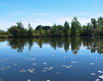 Etang de 1,2ha à 10min de Metz